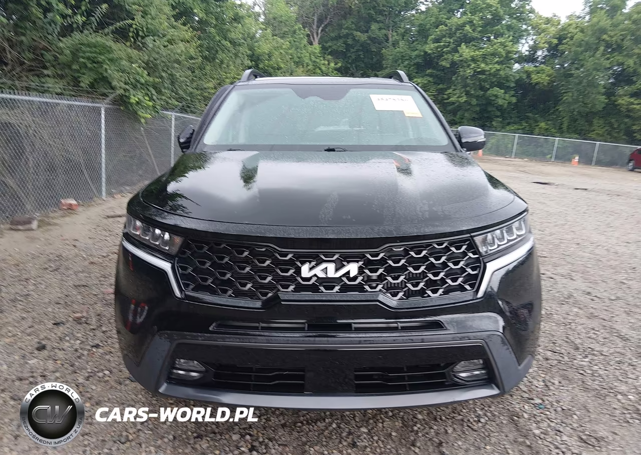 2023 Kia Sorento X-Line Ex VIN:5XYRHDLF0PG163582 - 12