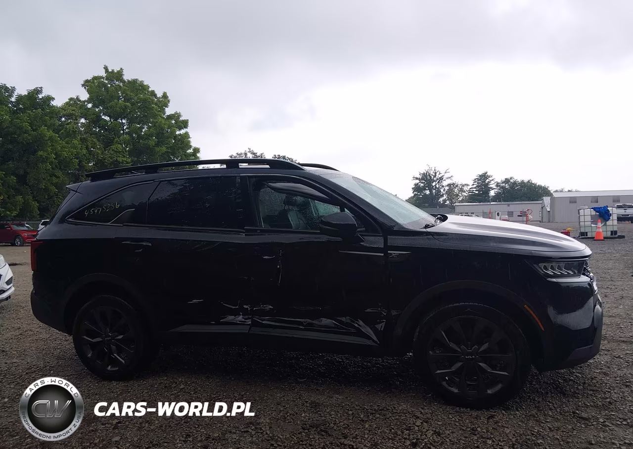 2023 Kia Sorento X-Line Ex VIN:5XYRHDLF0PG163582 - 13