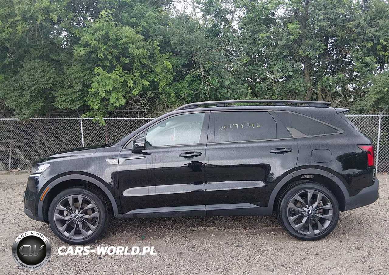 2023 Kia Sorento X-Line Ex VIN:5XYRHDLF0PG163582 - 14