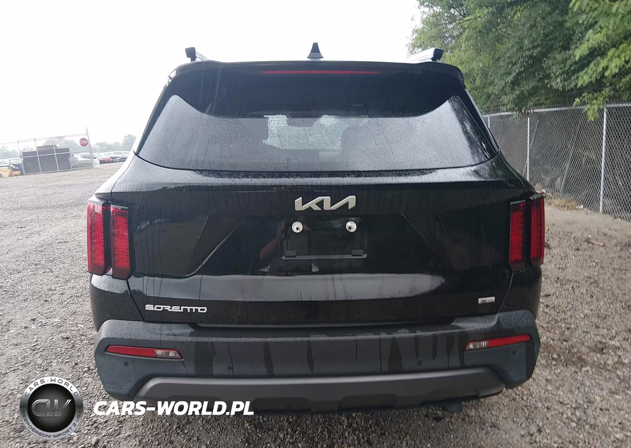 2023 Kia Sorento X-Line Ex VIN:5XYRHDLF0PG163582 - 16