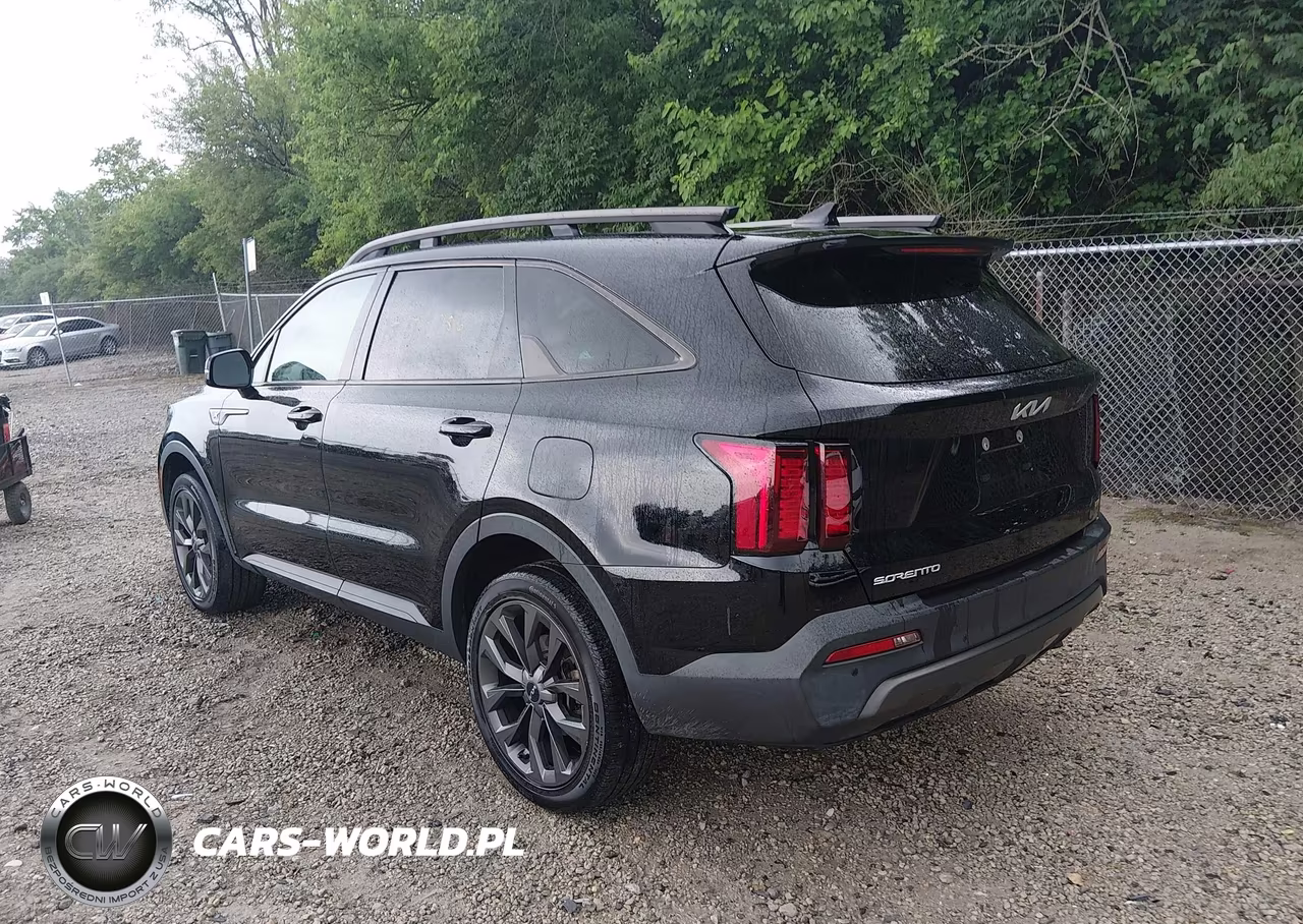 2023 Kia Sorento X-Line Ex VIN:5XYRHDLF0PG163582 - 3
