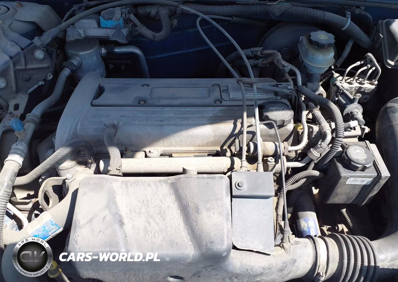 2005 Chevrolet Cavalier VIN:1G1JC52F457173666 - 10