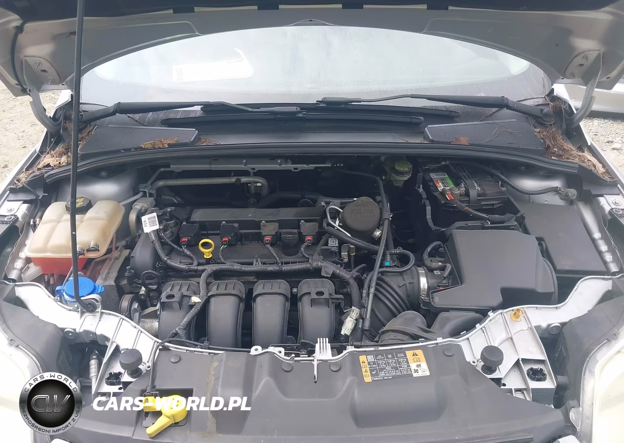 FORD FOCUS VIN:1FADP3K25EL410494 - 10