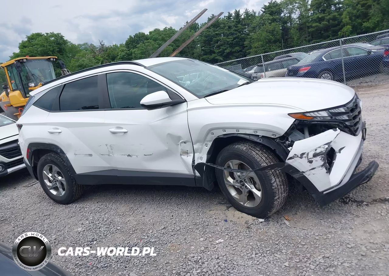 2024 Hyundai Tucson Sel VIN:5NMJBCDE9RH378224 - 13