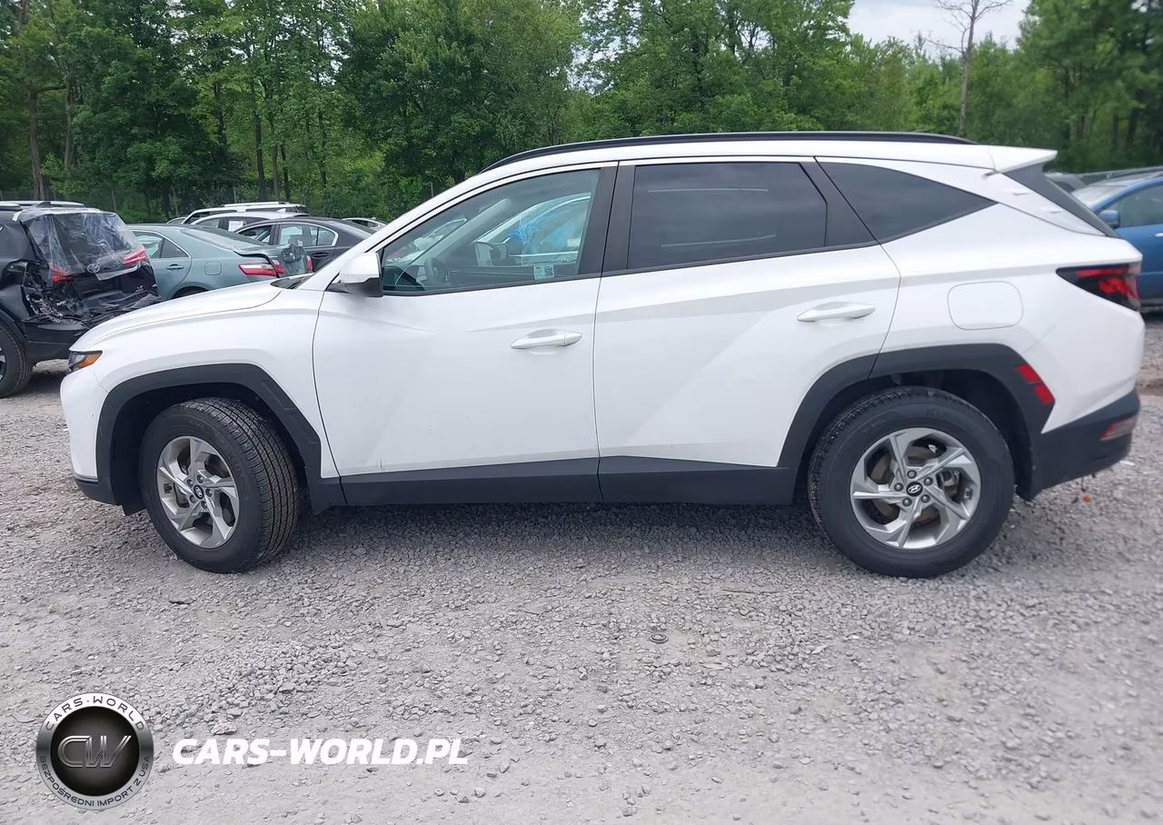 2024 Hyundai Tucson Sel VIN:5NMJBCDE9RH378224 - 14