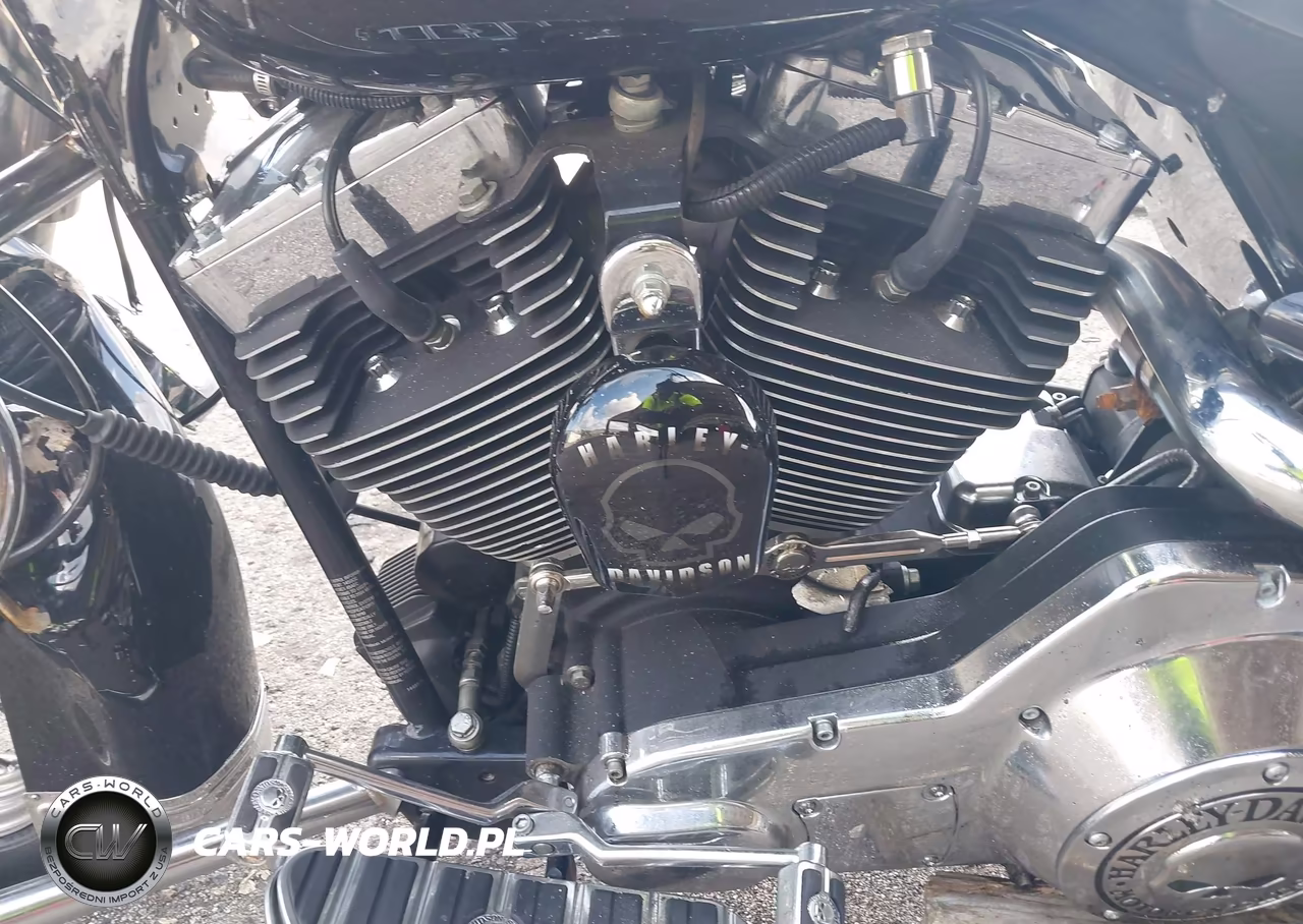 2004 Harley-Davidson Flhri VIN:1HD1FBW154Y720298 - 9