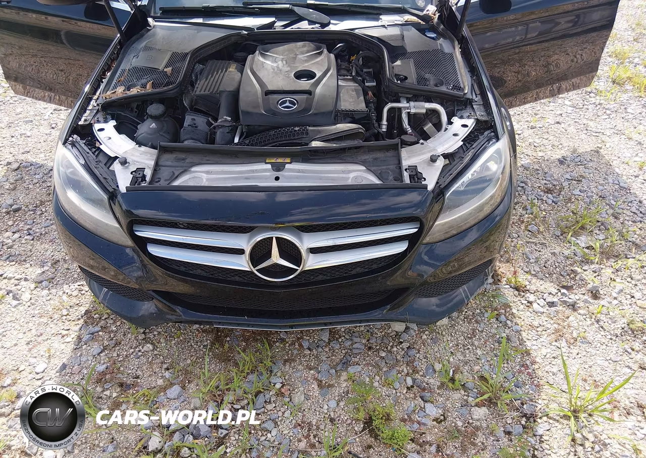2016 Mercedes-Benz C 300 VIN:55SWF4JB7GU174495 - 10