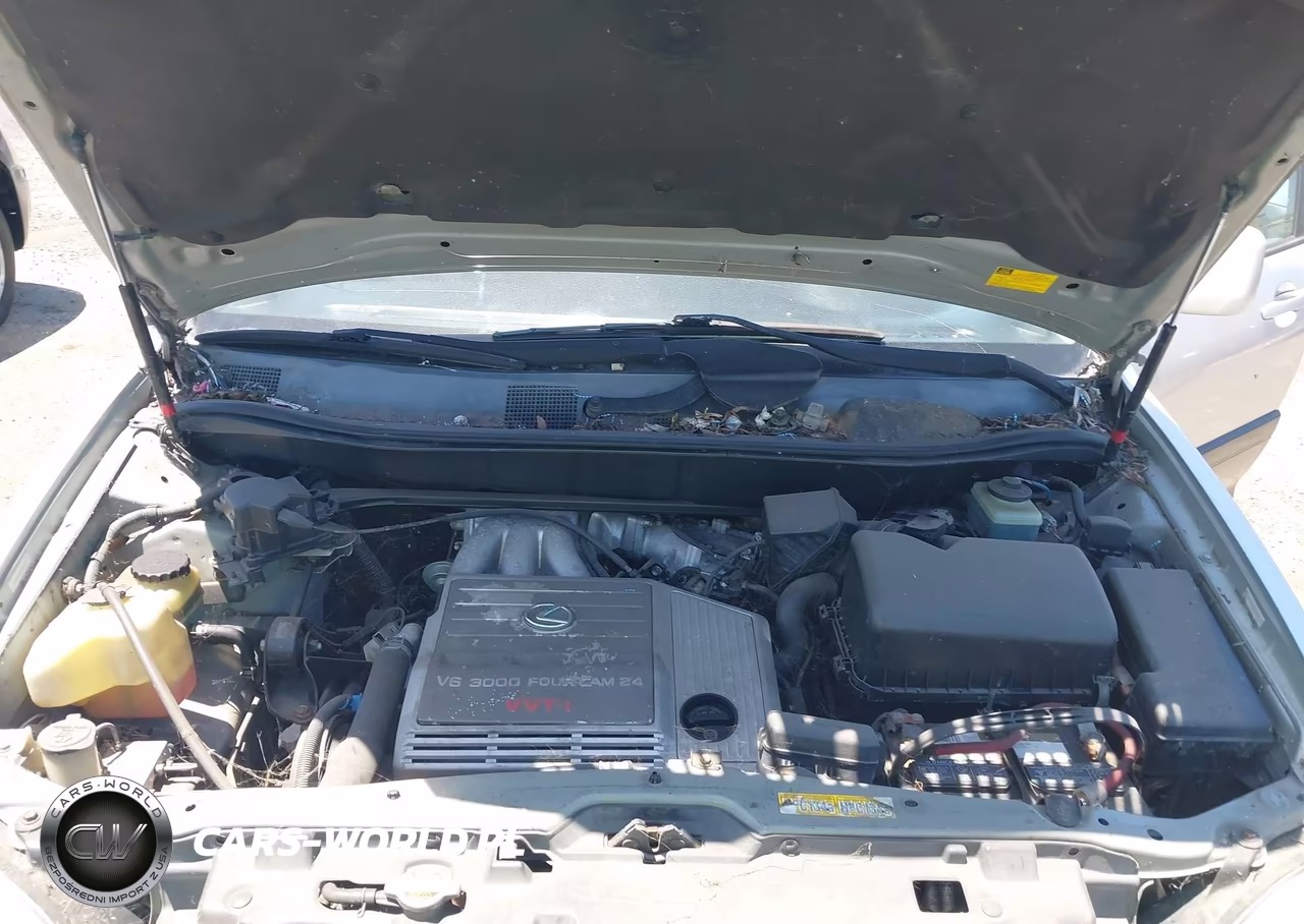 1999 Lexus Rx 300 VIN:JT6HF10U4X0042215 - 10