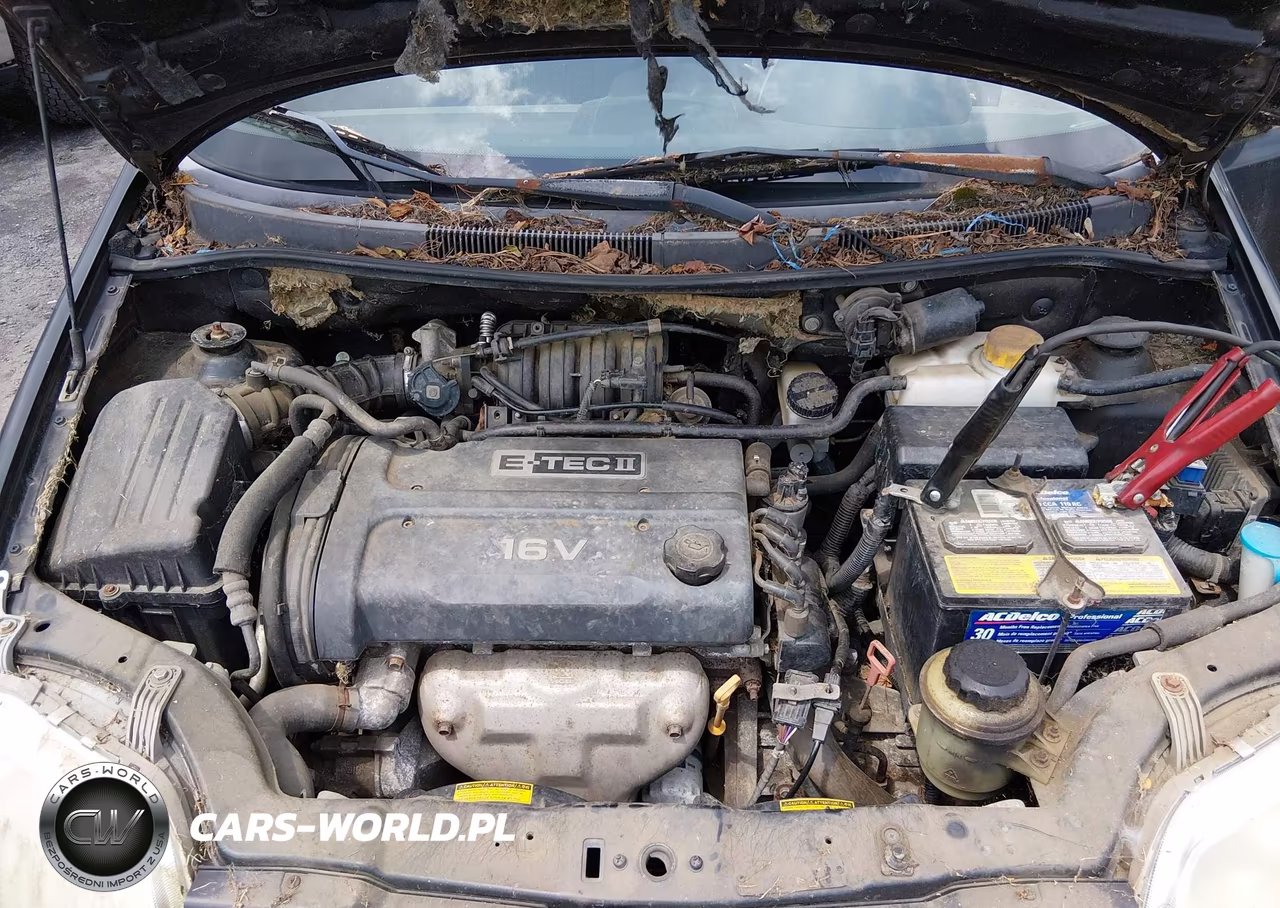 2004 Chevrolet Aveo Ls VIN:KL1TJ62624B236696 - 10