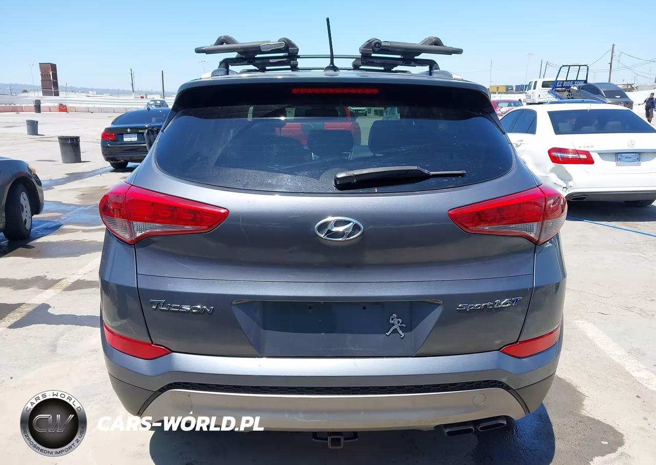 2016 Hyundai Tucson Sport VIN:KM8J33A21GU125813 - 16