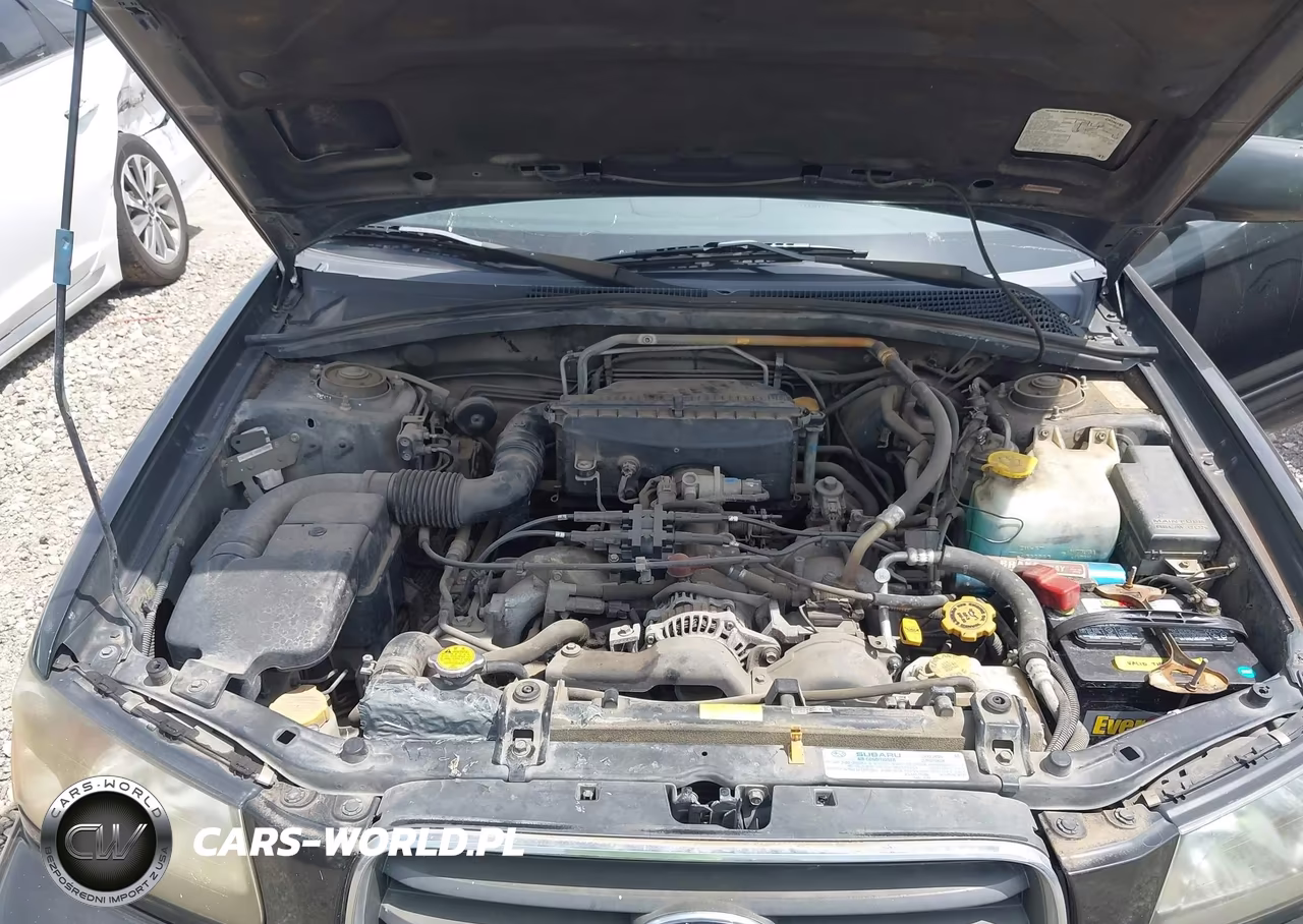 2004 Subaru Forester 2.5Xs VIN:JF1SG65654G707375 - 10