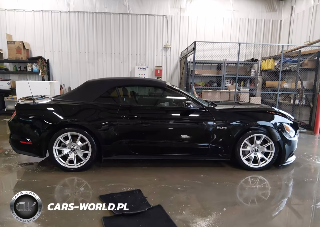 2015 Ford Mustang Gt Premium VIN:1FATP8FF4F5386166 - 13