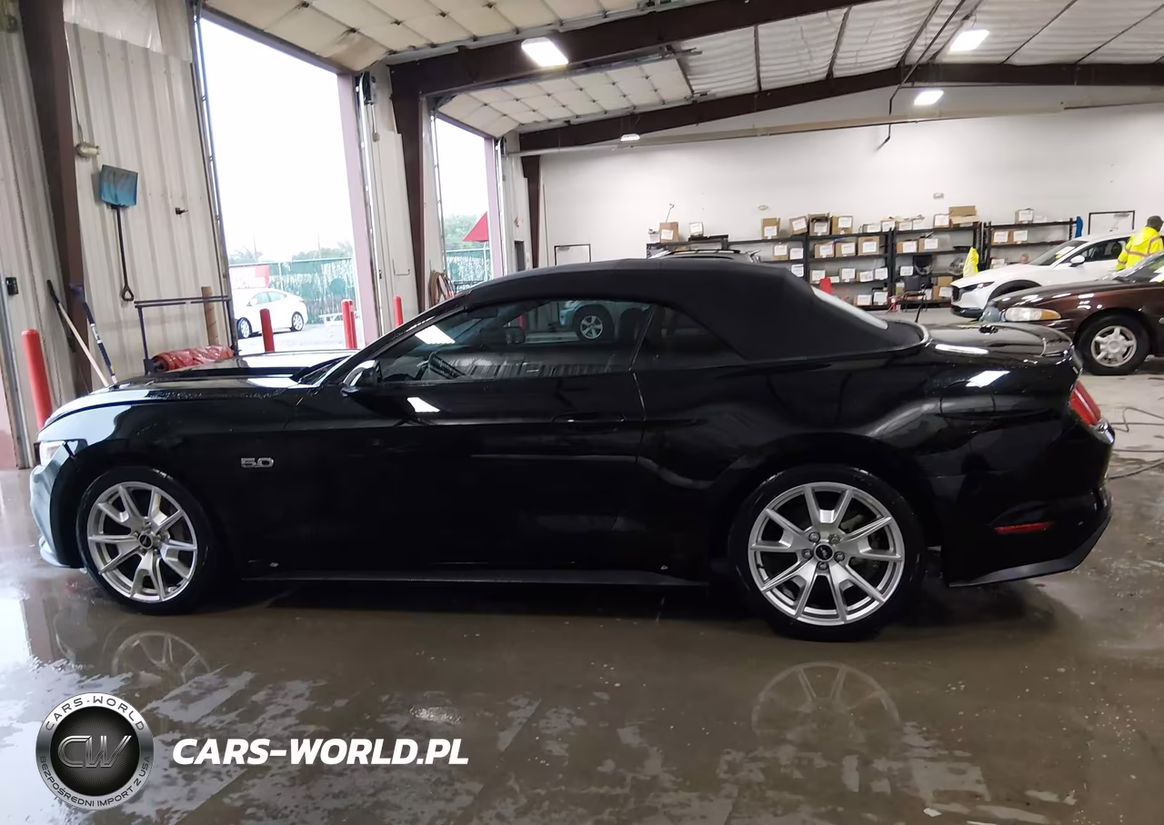 2015 Ford Mustang Gt Premium VIN:1FATP8FF4F5386166 - 14