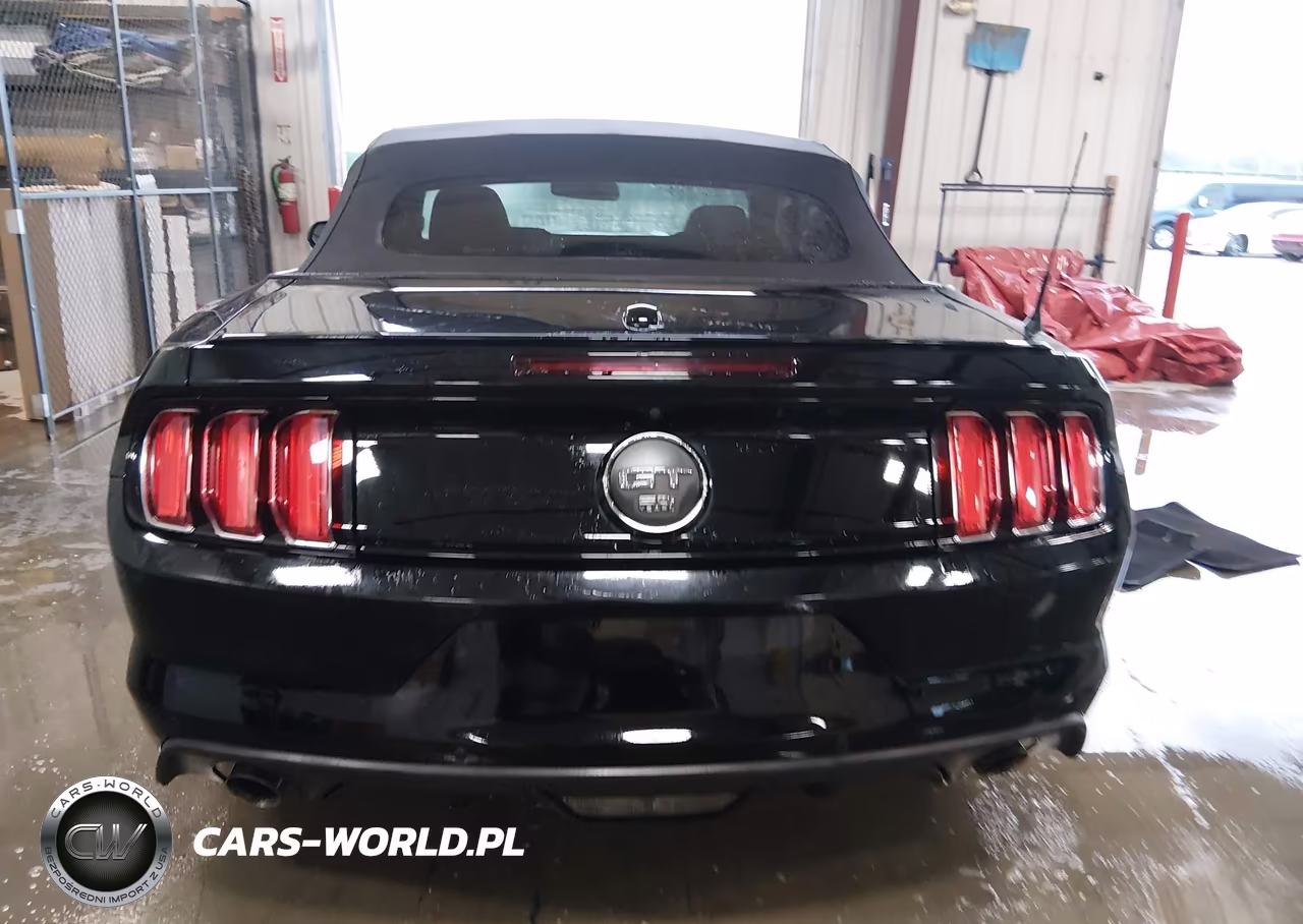 2015 Ford Mustang Gt Premium VIN:1FATP8FF4F5386166 - 16