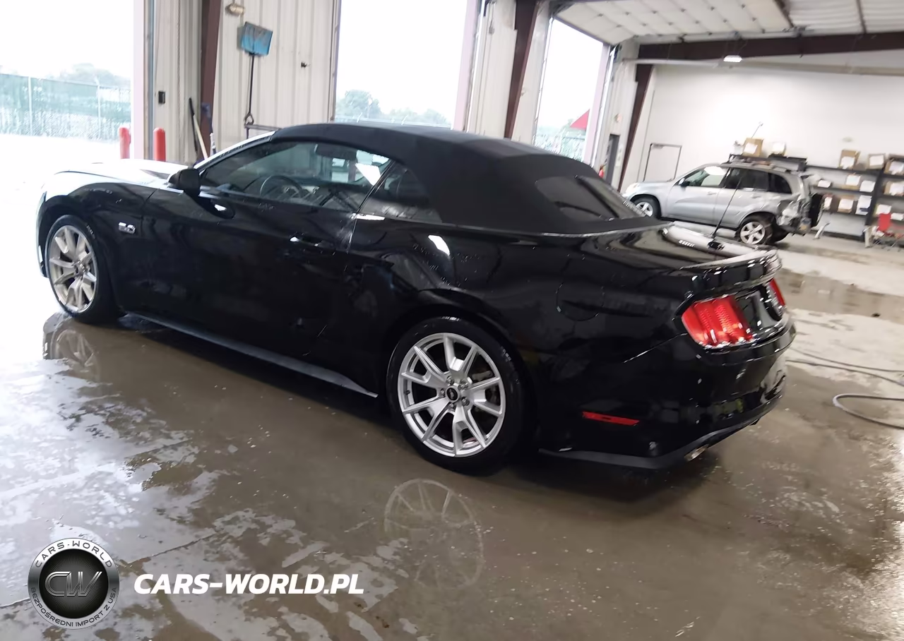 2015 Ford Mustang Gt Premium VIN:1FATP8FF4F5386166 - 3