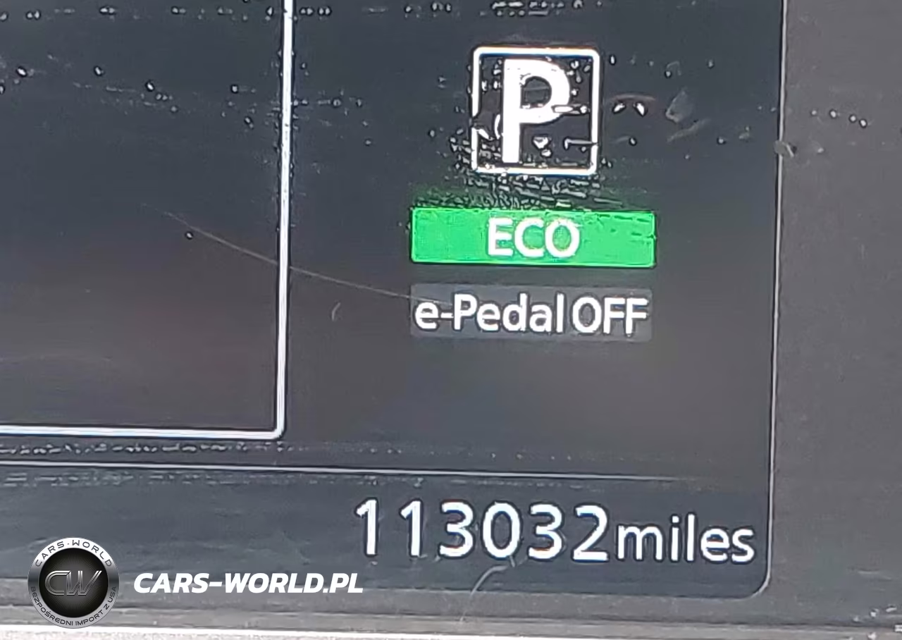 2019 Nissan Leaf S VIN:1N4AZ1CP0KC319639 - 12