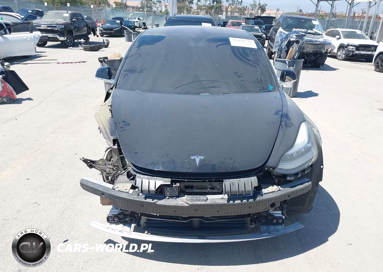 2019 Tesla Model 3 Long Range-Mid Range-Standard Range-Standard Range Plus VIN:5YJ3E1EA3KF321475 - 12