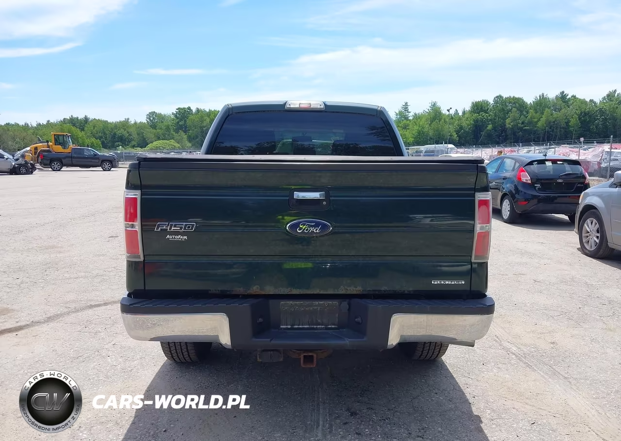 2013 Ford F-150 Fx4-King Ranch-Lariat-Platinum-Xl-Xlt VIN:1FTFW1EFXDFC52787 - 16