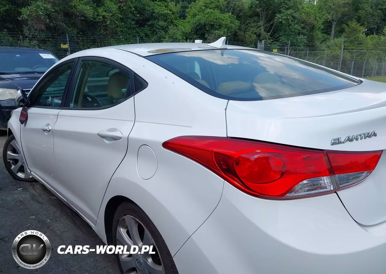 2013 Hyundai Elantra Limited VIN:5NPDH4AE2DH306055 - 14