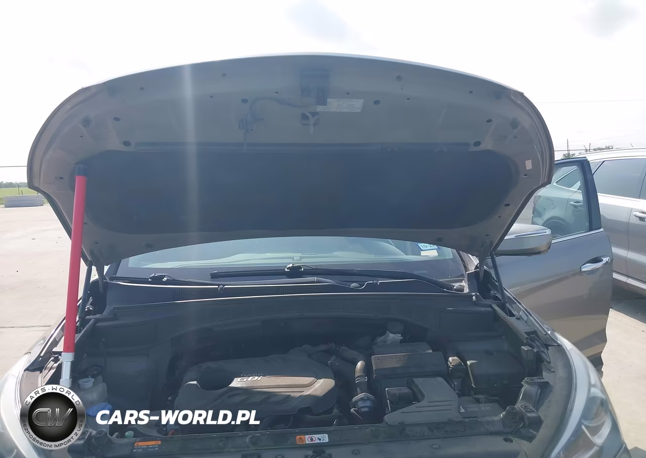 2017 Hyundai Santa Fe Sport 2.0T Ultimate VIN:5XYZW4LAXHG494259 - 10