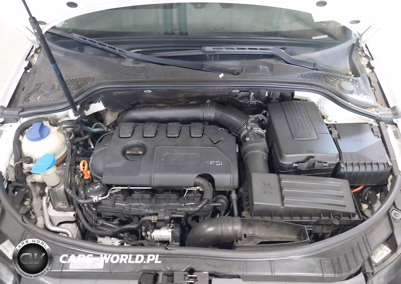2009 Audi A3 2.0T VIN:WAUKF78P69A079180 - 10
