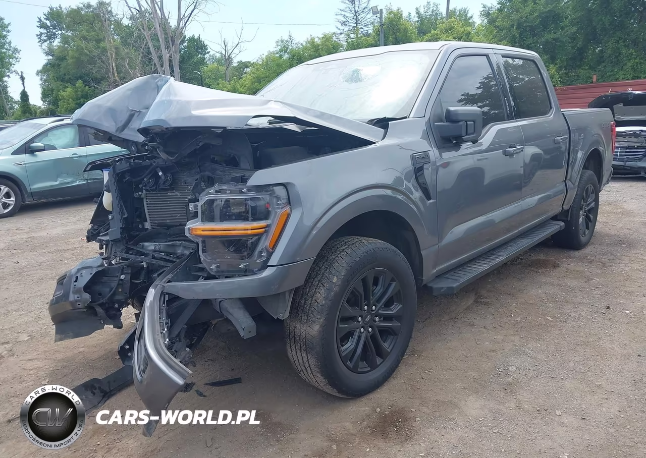 2024 Ford F-150 Xlt VIN:1FTEW3LP5RFA92375 - 2