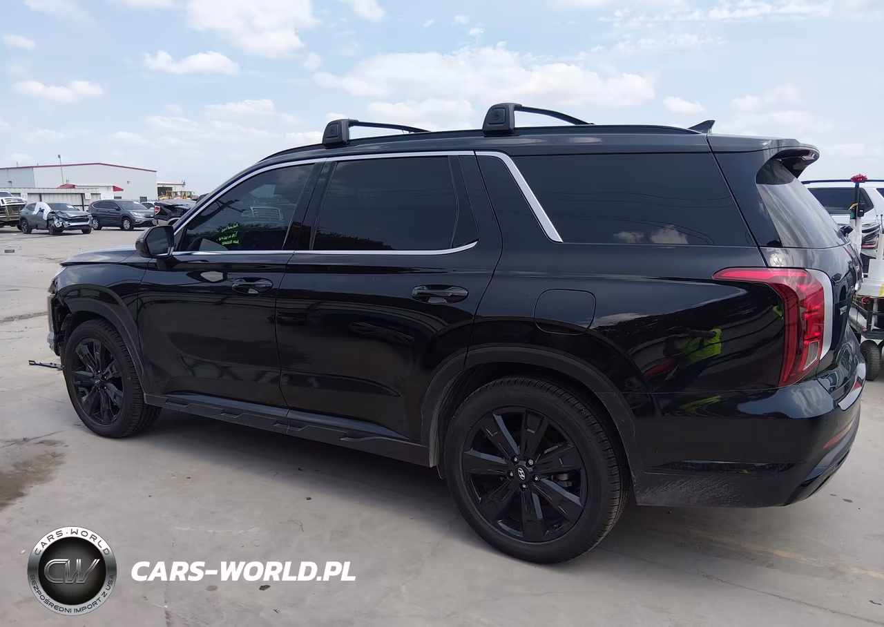2024 Hyundai Palisade Xrt VIN:KM8R3DGE8RU748293 - 15