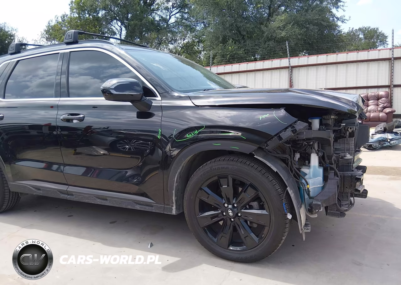 2024 Hyundai Palisade Xrt VIN:KM8R3DGE8RU748293 - 18