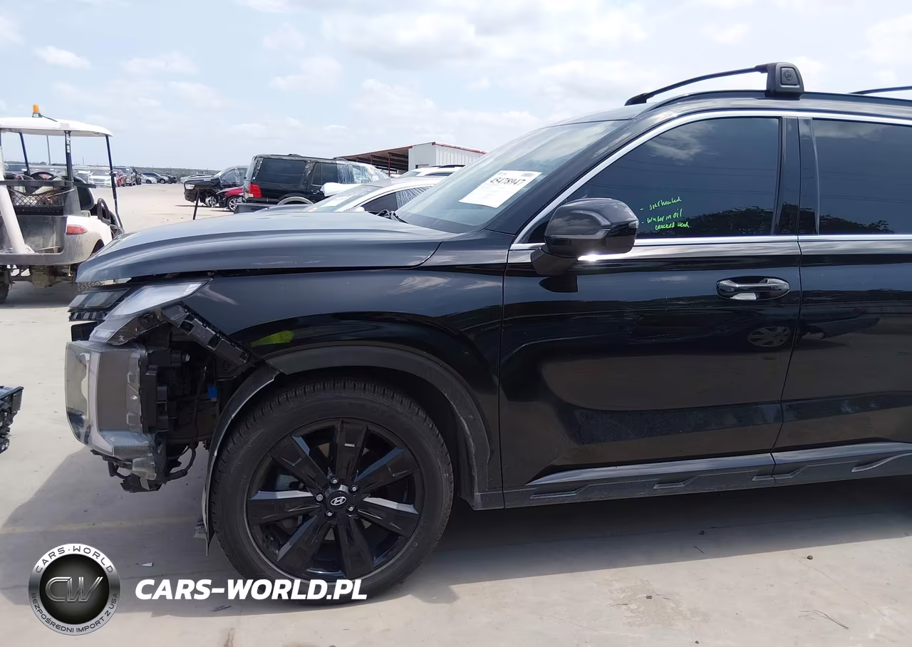 2024 Hyundai Palisade Xrt VIN:KM8R3DGE8RU748293 - 19