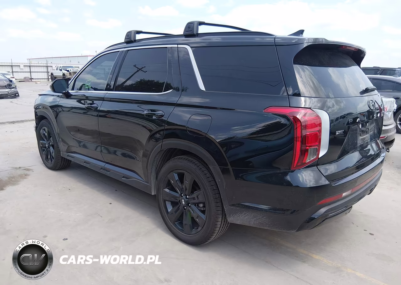 2024 Hyundai Palisade Xrt VIN:KM8R3DGE8RU748293 - 3