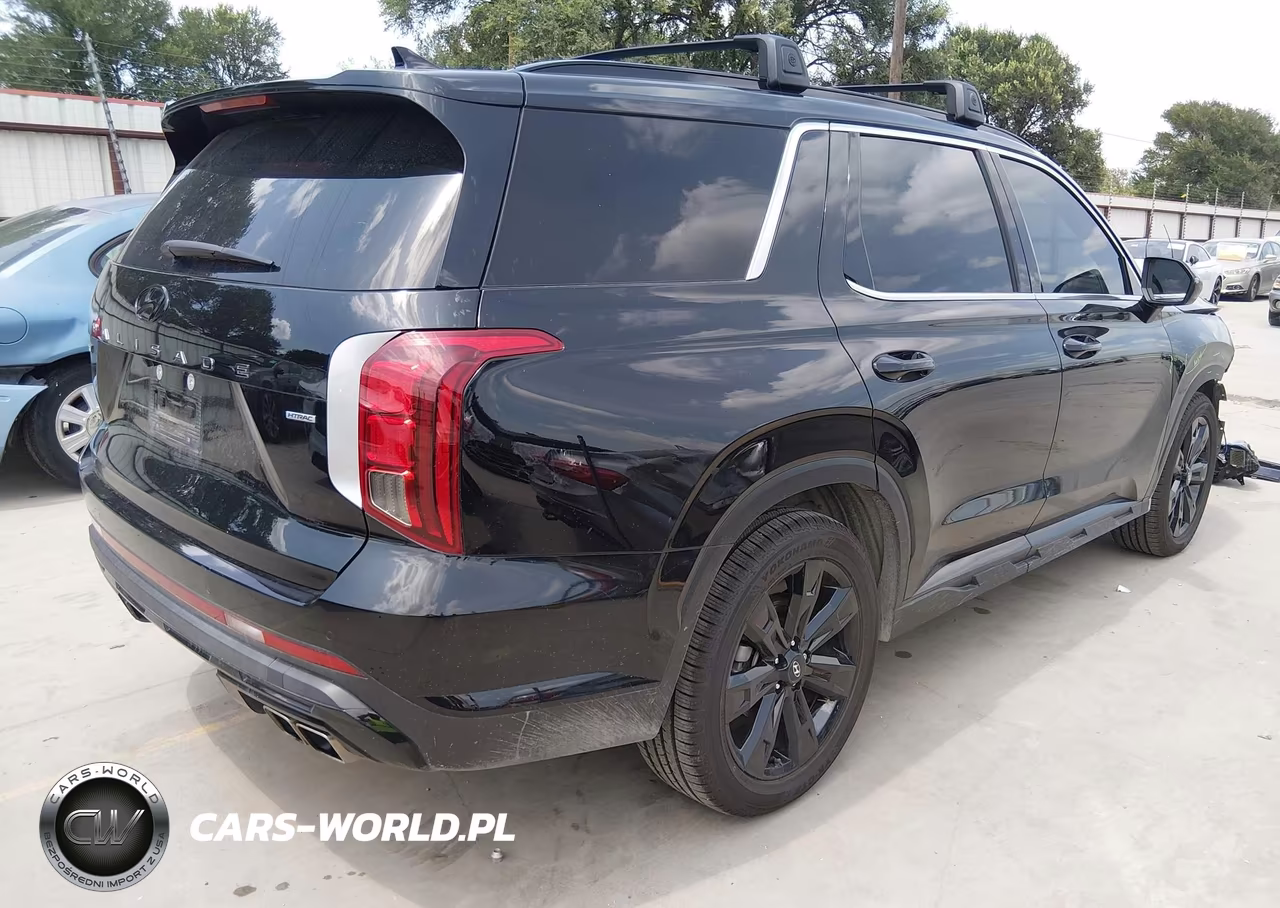 2024 Hyundai Palisade Xrt VIN:KM8R3DGE8RU748293 - 4
