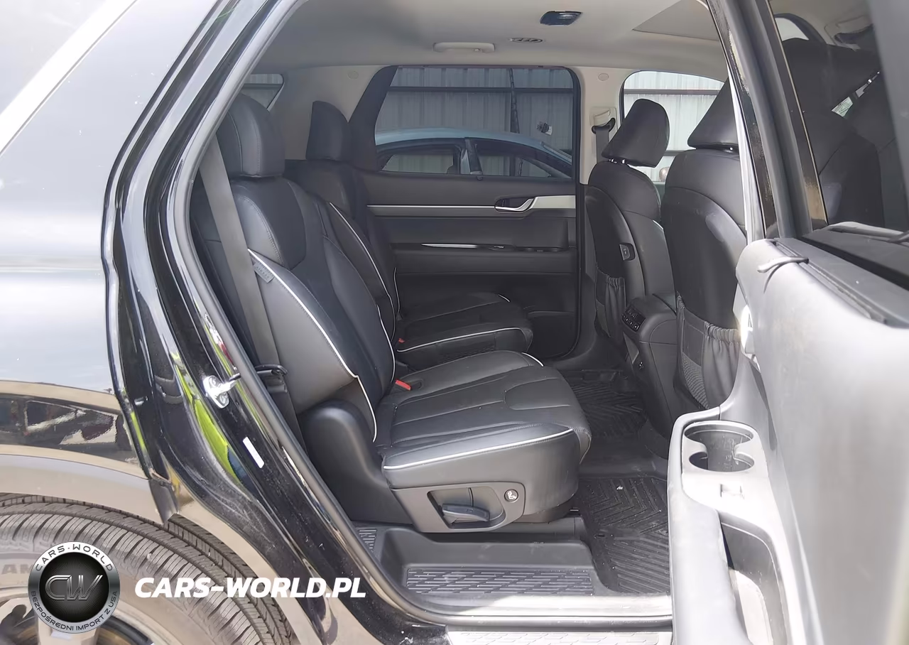 2024 Hyundai Palisade Xrt VIN:KM8R3DGE8RU748293 - 8