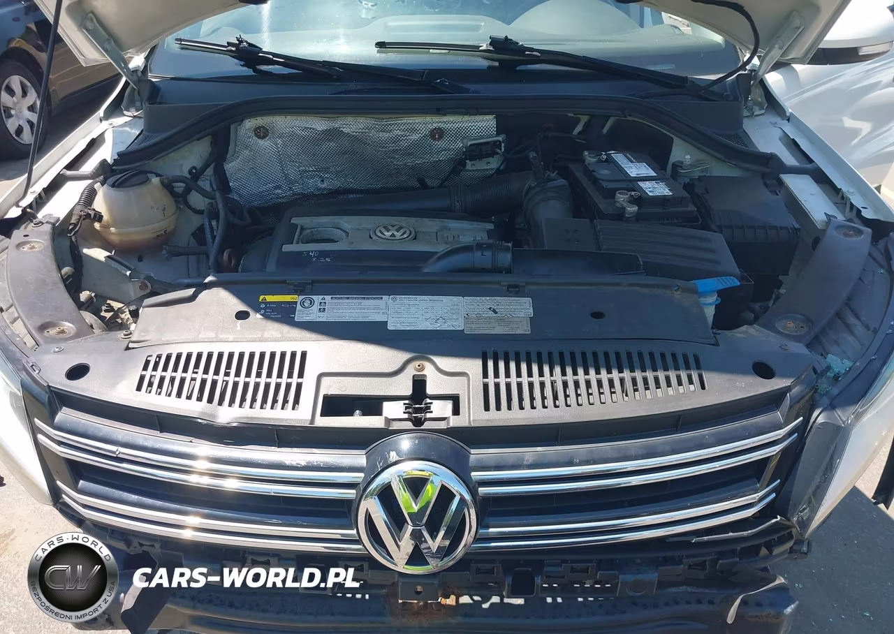 2015 Volkswagen Tiguan S VIN:WVGBV7AX1FW555605 - 10