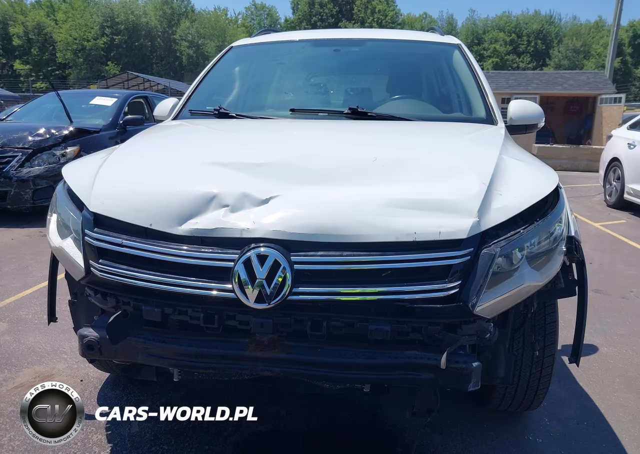 2015 Volkswagen Tiguan S VIN:WVGBV7AX1FW555605 - 12