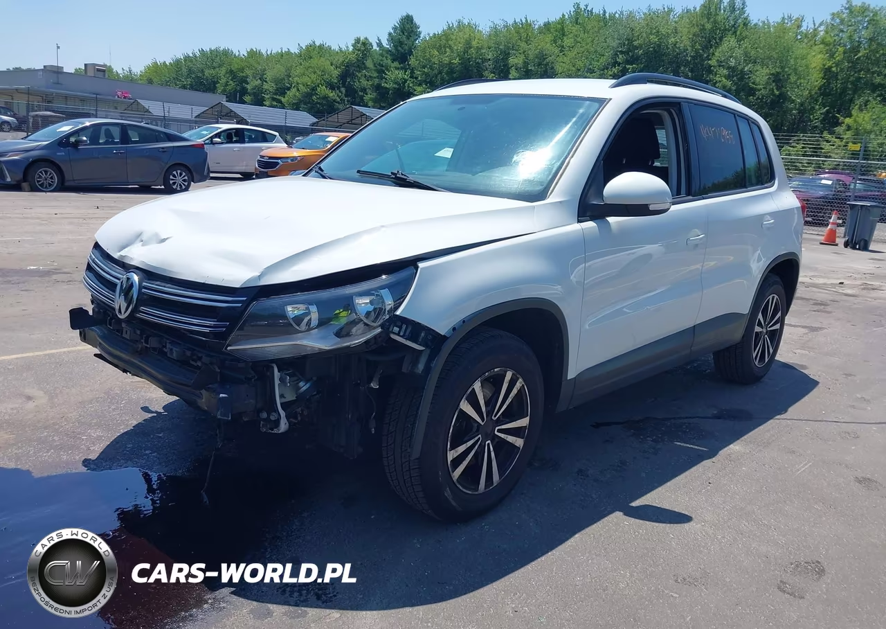 2015 Volkswagen Tiguan S VIN:WVGBV7AX1FW555605 - 2