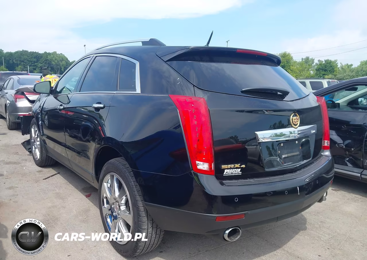 2010 Cadillac Srx Premium Collection VIN:3GYFNFEY1AS505675 - 3