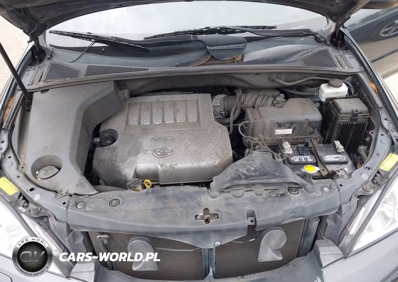 2008 Lexus Rx 350 VIN:2T2HK31U78C077493 - 10
