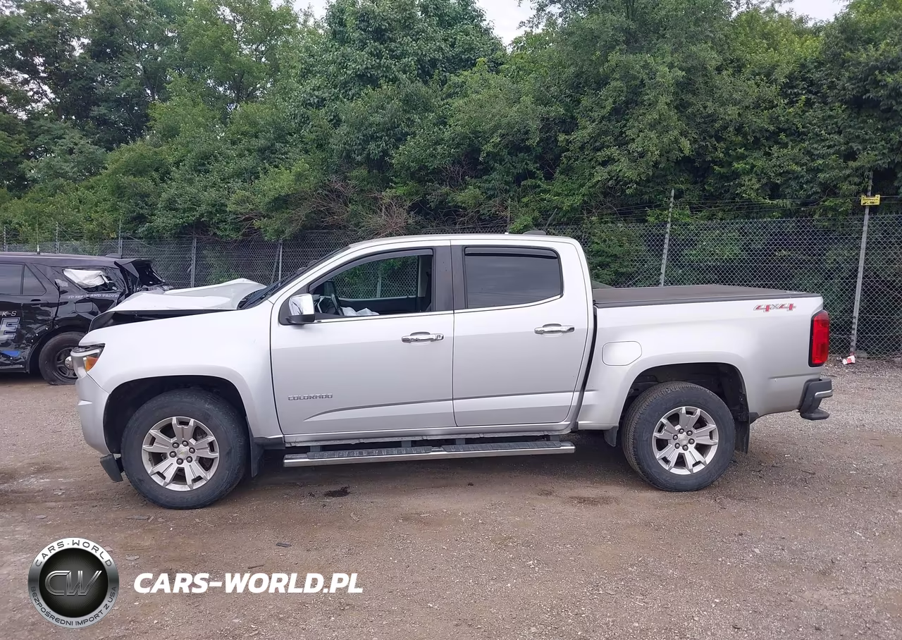 2019 Chevrolet Colorado Lt VIN:1GCGTCEN8K1246495 - 14