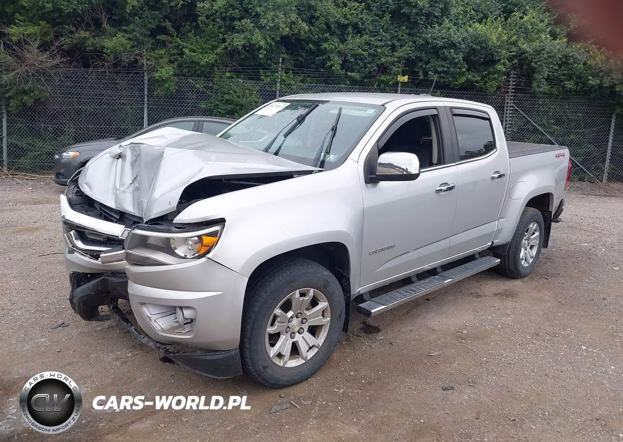 2019 Chevrolet Colorado Lt VIN:1GCGTCEN8K1246495 - 2
