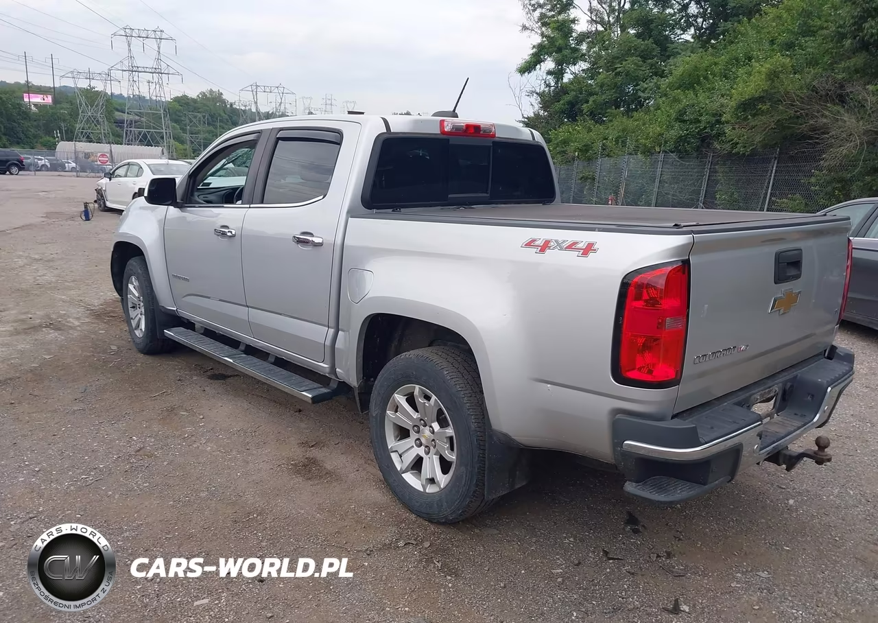 2019 Chevrolet Colorado Lt VIN:1GCGTCEN8K1246495 - 3