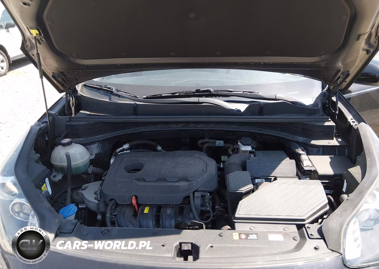 2020 Kia Sportage Lx VIN:KNDPM3AC9L7655847 - 10