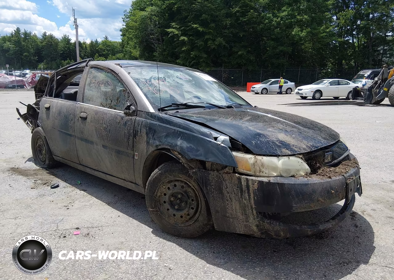 2004 Saturn Ion Ion 1 VIN:1G8AG52F94Z100785 - 1