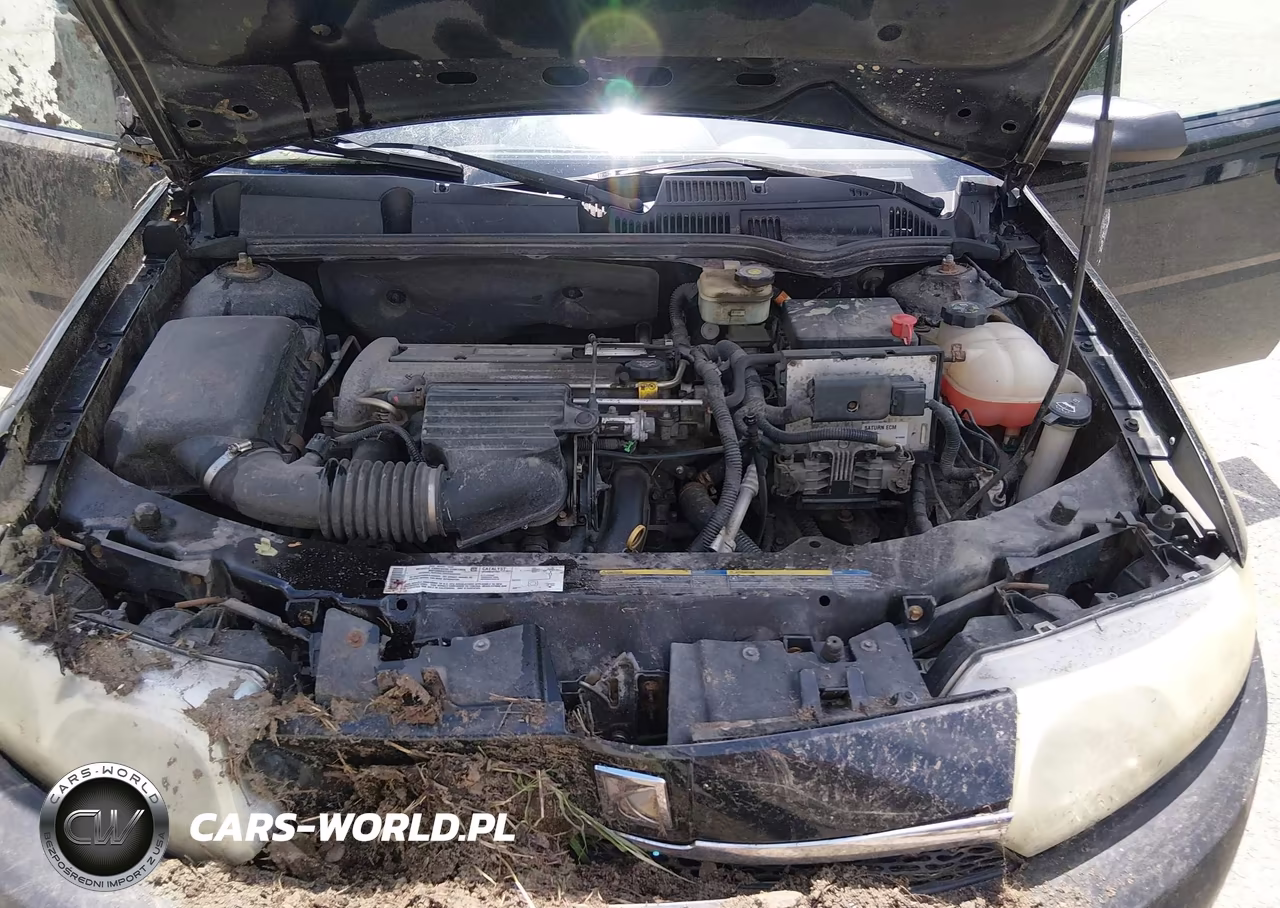 2004 Saturn Ion Ion 1 VIN:1G8AG52F94Z100785 - 10