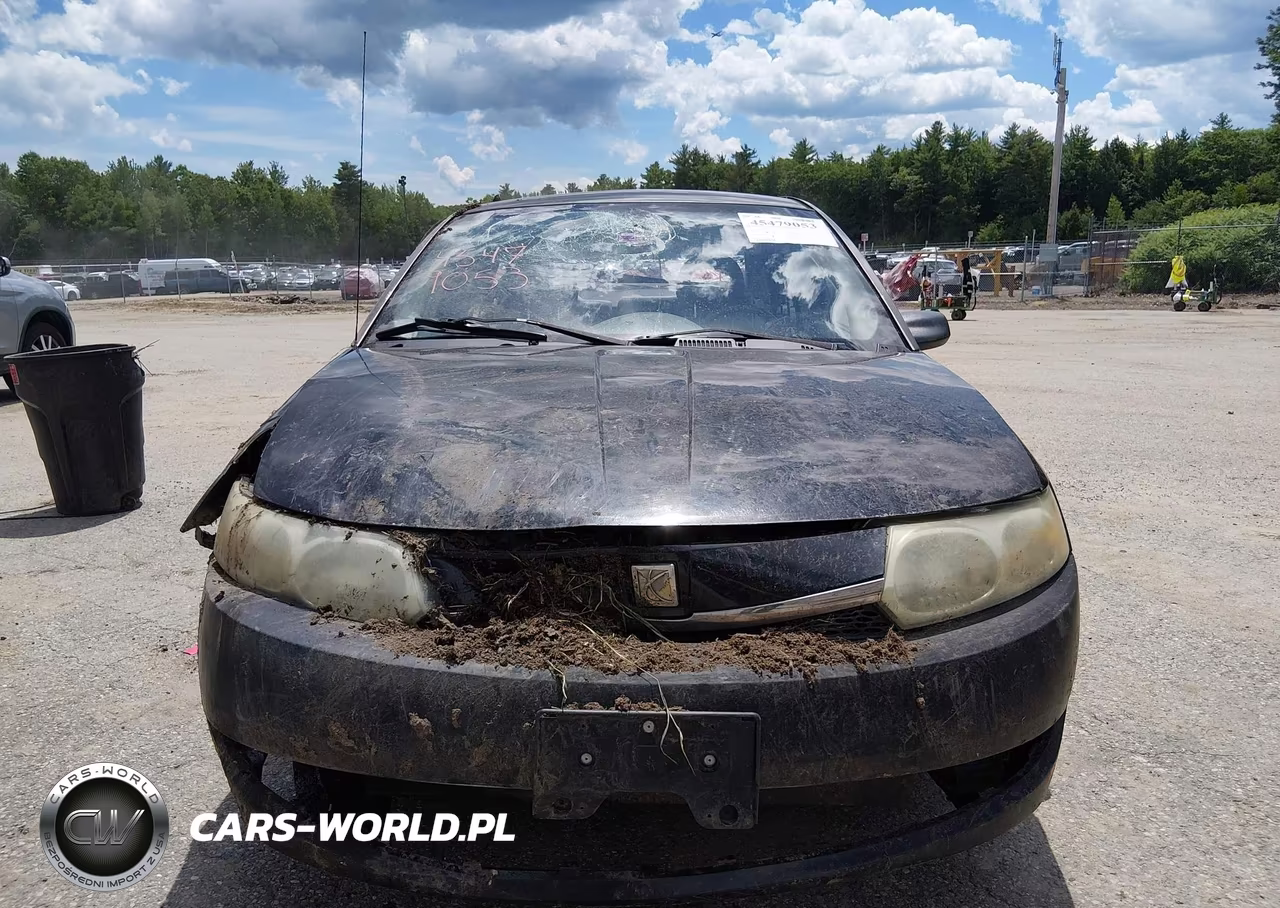 2004 Saturn Ion Ion 1 VIN:1G8AG52F94Z100785 - 12