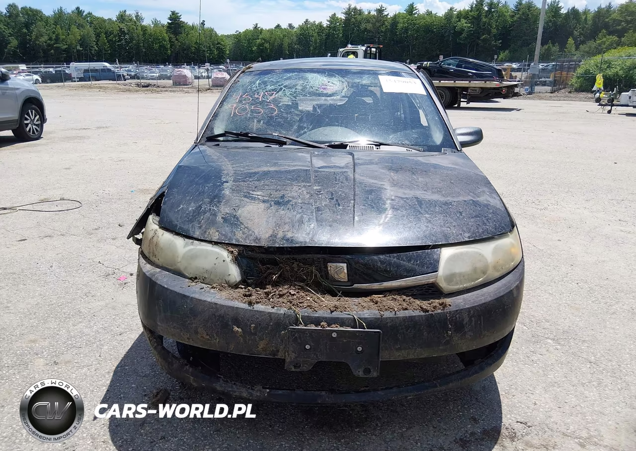 2004 Saturn Ion Ion 1 VIN:1G8AG52F94Z100785 - 6