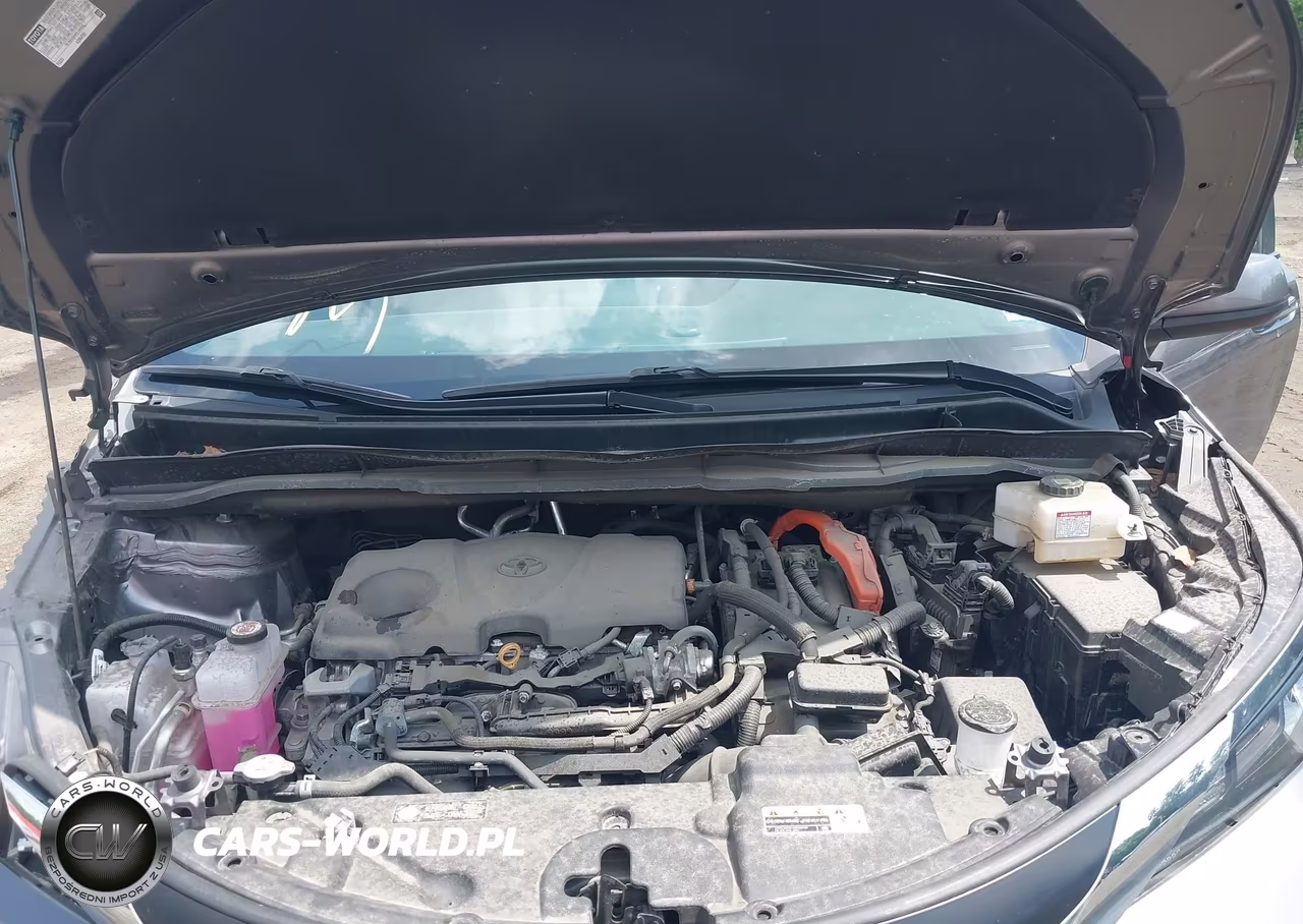 2024 Toyota Sienna Xle VIN:5TDJSKFC5RS111987 - 10