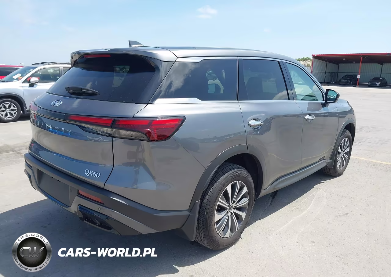 2025 Infiniti Qx60 Pure VIN:5N1AL1ER6SC333857 - 4