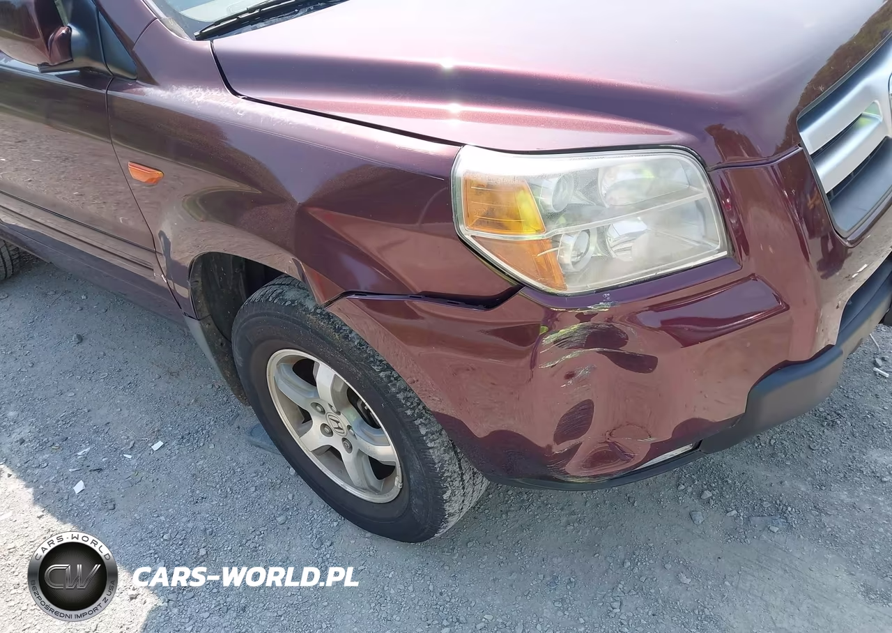 2007 Honda Pilot Ex-L VIN:5FNYF18687B002249 - 6