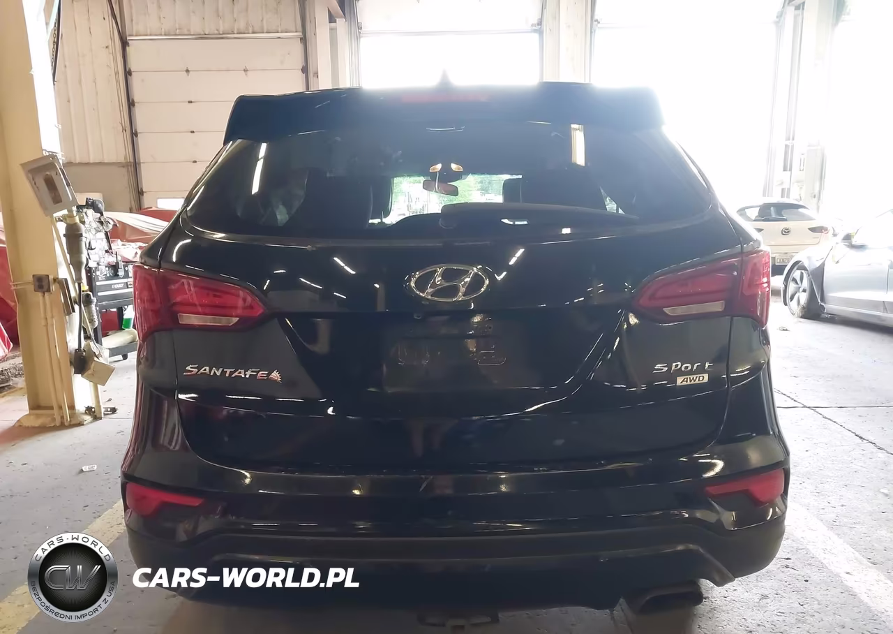 2017 Hyundai Santa Fe Sport 2.4L VIN:5NMZTDLB6HH001698 - 17