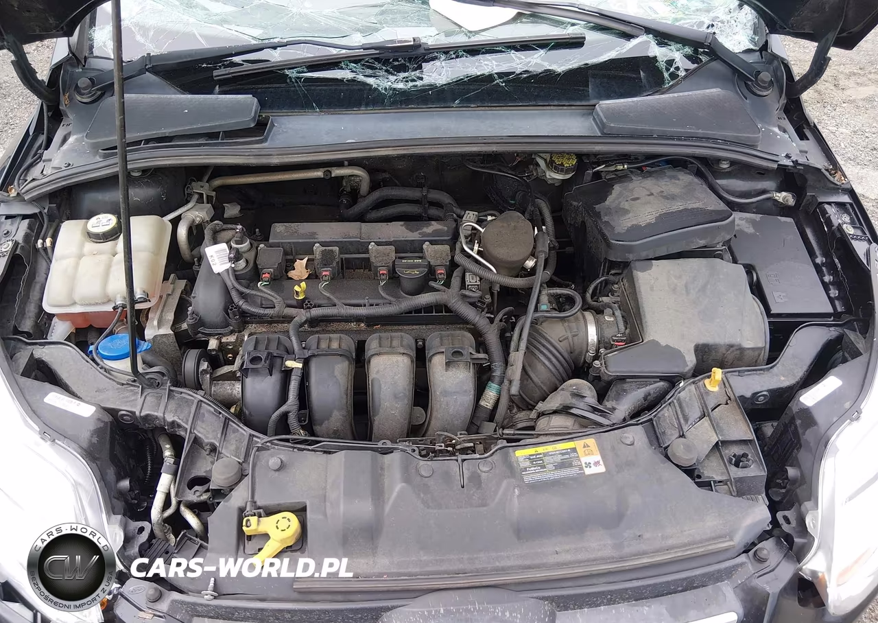 2013 Ford Focus Se VIN:1FADP3K24DL112002 - 10